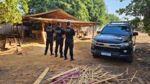 PF realiza Operação Arariboia Livre VII em combate crimes ambientais no Maranhão