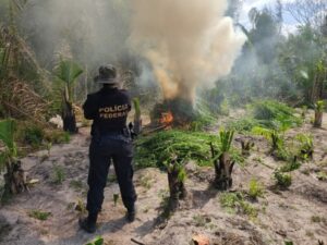 Polígono: PF deflagra nova operação no Maranhão