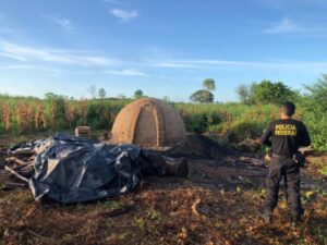 PF prende madeireiros no interior do Maranhão