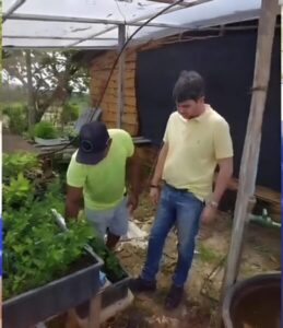 Aceleração da produção agrícola em São Luís: o legado de Liviomar Macatrão
