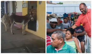 Paço do Lumiar: ‘Se eu contar minha história pro carroceiro, até o burro chora…’