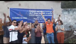 Um novo refúgio para animais em Caxias: inaugurada a primeira etapa da Ong ALA