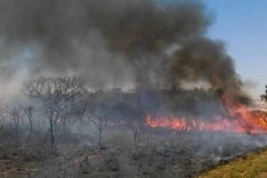 Maranhão entre os Estados com mais ocorrências de incêndios