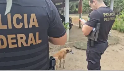Polícia Federal no Maranhão deflagra operação visando o combate ao abuso sexual infantil