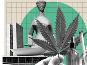 Decisão do STF motiva Recomendação da DPE-MA sobre suspensão de processos por porte de maconha