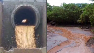 Prefeito Eudes Barros e Canopus, promovem crime ambiental