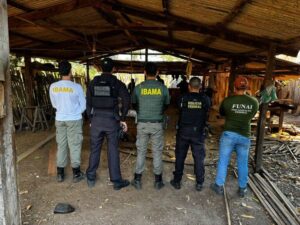 PF deflagra Operação Arariboia Livre VII contra crimes ambientais no MA