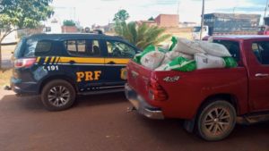 Jovem é preso pela PRF por furto de ração após acidente na BR-222, em Açailândia