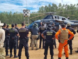 Vídeo: PF faz operação, prende 12 envolvidos no cultivo de 7 mil pés de maconha no Maranhão