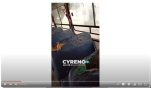 Ônibus Escolar de Vitorino Freire pega fogo durante transporte de crianças e adolescentes