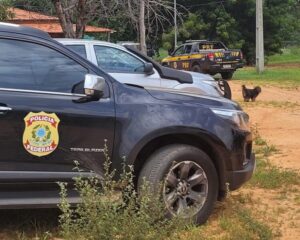 Operação conjunta resgata trabalhadores em situação análoga à escravidão em Grajaú e Sítio Novo