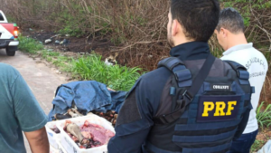 PRF apreende carga de carne em péssimas condições na BR-135 em São Luís