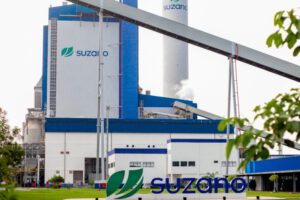 Suzano abre inscrições para o ‘Estágio Superior 2025’, com vagas para a região tocantina