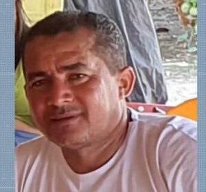 Abelhas atacam e matam homem e cavalo em Alto Alegre do Pindaré