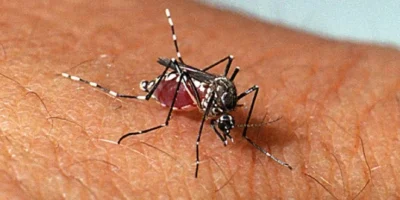 Mortes por dengue passam de 2 mil desde o início do ano