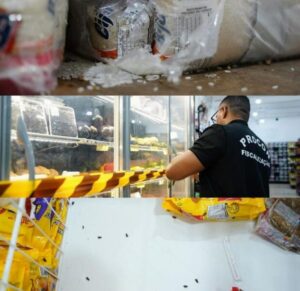 Procon interdita açougue do supermercado Pinheiro onde rato foi encontrado; assista