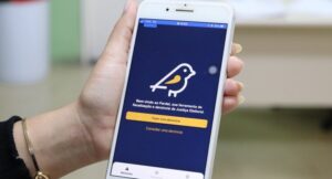 Denúncias pelo App Pardal no Maranhão somam 1.625; São Luís lidera com 724 registros