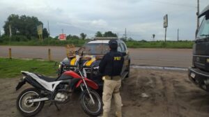 Crime ambiental: PRF apreende dupla em moto com aves silvestres na BR 316