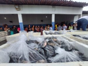 Gestão de Paula entrega 8 toneladas de peixes em Paço do Lumiar