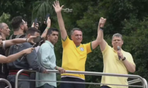 Pesquisadores da USP estimam 185 mil participantes em ato pró-Bolsonaro na Paulista
