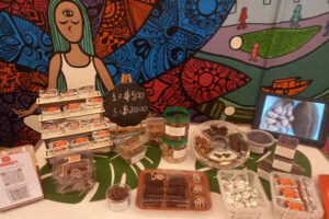 Startup apoiada pela Fapema produz bombom com castanha nativa