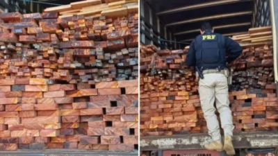 PRF apreende mais de 37 m³ de madeira ilegal em Santa Inês