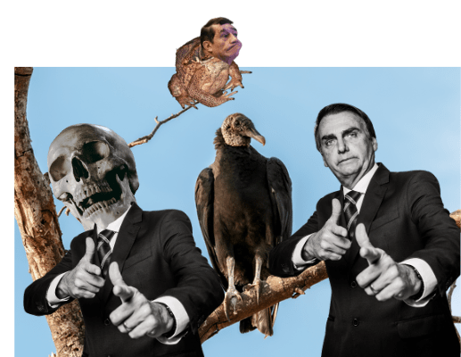 Foto: Reprodução