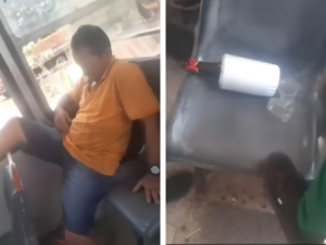 DESCASO NA EDUCAÇÃO EM BARREIRINHAS: Motorista é flagrado dormindo bêbado em ônibus escolar; Veja o vídeo