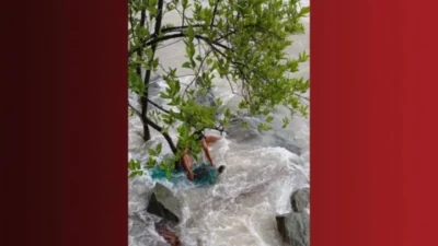 Agentes resgatam tartaruga marinha presa em rede de pesca na orla de São Luís
