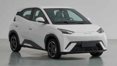 PROCON/MA ajuíza Ação Civil Pública contra BYD e Mercado Livre por propaganda enganosa em pré-venda de veículo