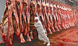 Esquema de cartel em venda de carne bovina por parte Fribal, Frigotil e Mateus Supermercado é investigado pelo MP-MA