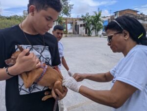 Onde levar seu pet para vacinação antirrábica neste sábado