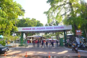 55ª edição da Festa da Juçara fortalece a cadeia produtiva e a cultura popular da região do Maracanã