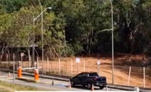 Governo diz que não está desmatando reserva ambiental em São Luís