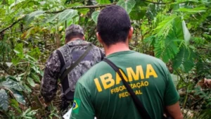 Fiscais do Ibama no Maranhão são condenados por corrupção