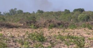 Maranhão lidera estatísticas de desmatamento no cerrado em 2023