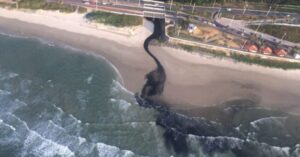 Maranhão recebe nota zero em sustentabilidade ambiental
