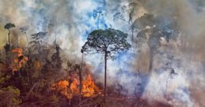 Área queimada no Brasil dispara em mais de 400% em fevereiro