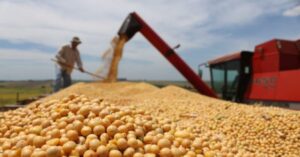Agropecuária, Indústria e Serviços elevam PIB do Maranhão