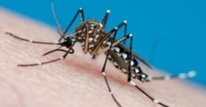 Bairro do São Francisco lidera em casos de dengue