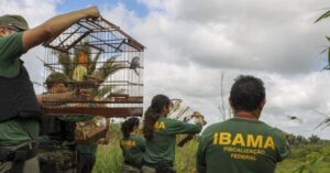 Servidores do Ibama no MA entram em greve a partir de 1º de julho