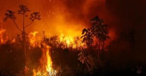 Amazônia registra maior número de queimadas em 20 anos