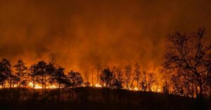 Junho registra recorde histórico de incêndios no Pantanal