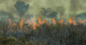 Aumento de queimadas no Maranhão atinge mais de 30%