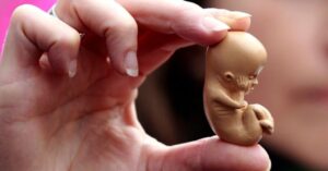 STF forma maioria para manter voto pró-aborto de Rosa Weber