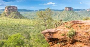Desmatamento do Cerrado no Maranhão cresce 31% em 12 meses