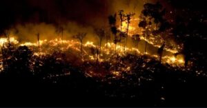 Queimadas na Amazônia em agosto atingem recorde em 14 anos