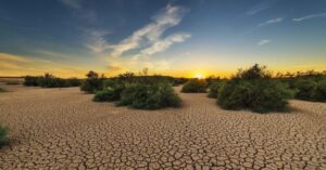 Brasil registra a pior seca da história, aponta Cemaden