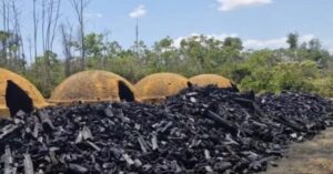 Oito trabalhadores do MA são resgatados de carvoaria no Pará