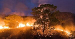 Pantanal e Amazônia têm piores incêndios em quase 20 anos